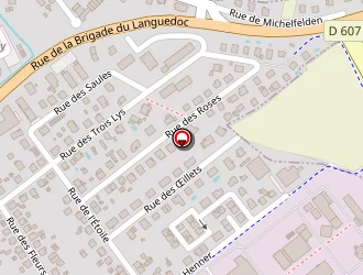 Carte de Hôtel Berlioz à Saint-louis