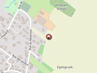 Carte de Renoir Ludovic à Hirtzbach