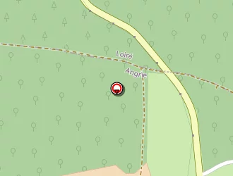 Carte de Denieul Michel à Angrie