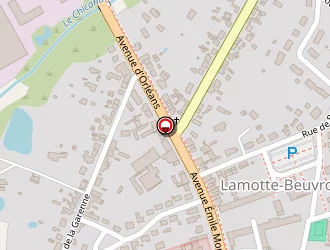 Carte de Zribi Michel à Lamotte-beuvron