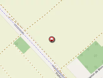 Carte de Leturgeon Thierry à Vineuil