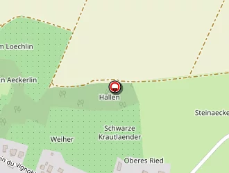 Carte de Les Nouvelles Chevelures à Franken