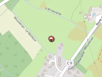 Carte de Le Piniec Anne à Séné