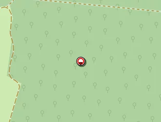 Carte de Caille Emile à Vézelois