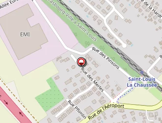 Carte de Formule 1 à Saint-louis