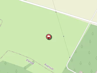 Carte de Menard Léontine à Avessac