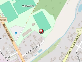 Carte de Dessiaume Flore Brigitte à Lamotte-beuvron