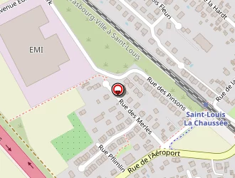 Carte de Formule 1 à Saint-louis