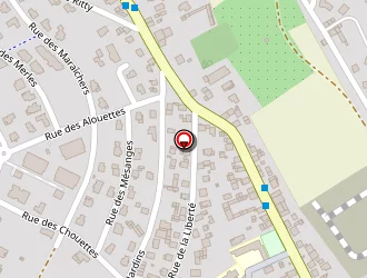 Carte de Matter à Village-neuf