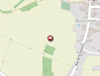 Carte de Mairie à Molesmes