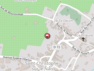 Carte de Choisnet Bruno à Saint-christophe-sur-le-nais