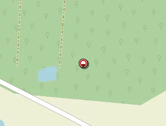 Carte de Morin Patrick à Chaon