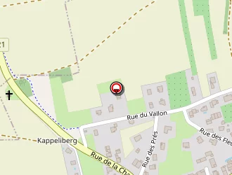 Carte de Mairie à Kappelen