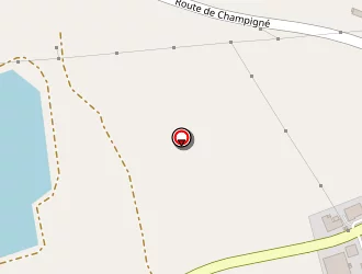 Carte de Doizy Angélo à Cheffes