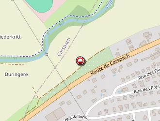 Carte de Berst Camille à Altkirch