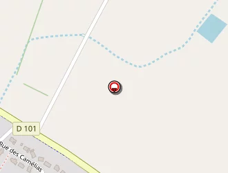 Carte de Japanguitar Handmade à Baden