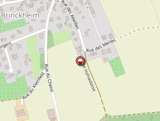 Carte de Baschung-fuchs Raymond à Brinckheim