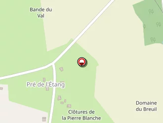 Carte de De Quelen Thomas à Allaire