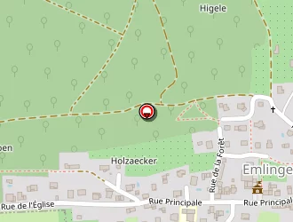 Carte de Sd Montage à Emlingen