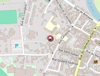 Carte de Optic 2000 à Lion-d'angers (le)