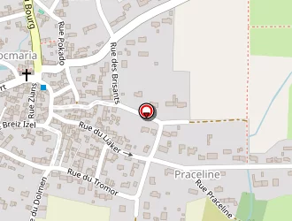 Carte de Guillemoto Estelle à Groix