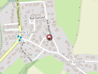 Carte de Ambulances Du Golfe à Séné