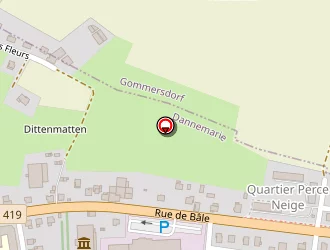 Carte de Restaurant Ritter à Dannemarie