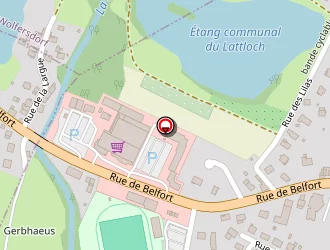 Carte de Pêche Et Exotique à Dannemarie