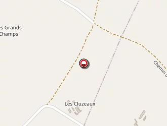 Carte de Buale Patrick à Saint-firmin-sur-loire