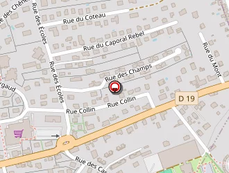 Carte de Ambulances Paramedic Georges à Essert