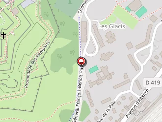 Carte de Rui Robert à Belfort