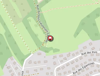 Carte de Taxi Thomas à Essert