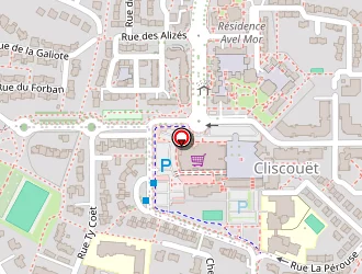 Carte de Le Ny Emeline à Vannes