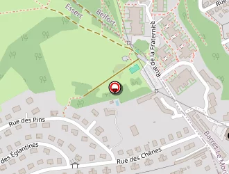 Carte de Synapse-o-coeur à Essert