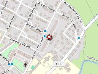 Carte de Courtois à Vesoul