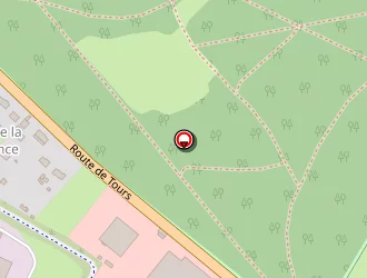 Carte de Rvl 72 à Lude (le)