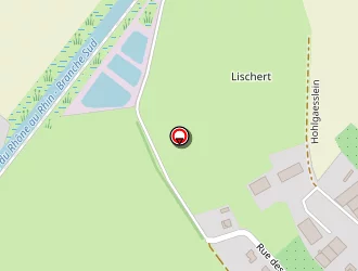 Carte de Bischoff Patrick à Gommersdorf