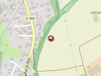 Carte de Figueiredo Rosa-do Carm à Kembs