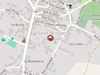 Carte de Mairie à Saint-brisson-sur-loire