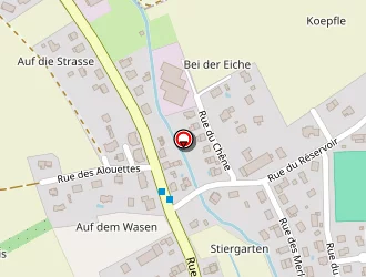 Carte de Entreprise Pineiro à Aspach