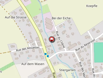 Carte de Terrain De Pétanque à Aspach