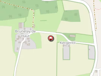 Carte de Cochard Yannick à Limerzel