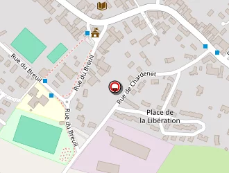 Carte de Bourlier Vesoul à Pusey