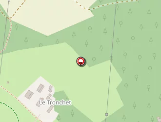 Carte de Bourlier Stephane à Lude (le)