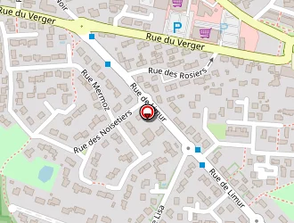 Carte de Aum Institut à Séné