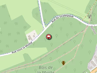 Carte de Glaces Erhard à Denney