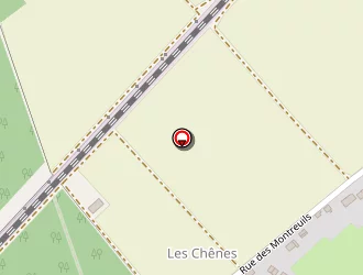 Carte de Pilot Dimitri à Cour-sur-loire