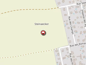 Carte de Es Itinéraire à Rantzwiller