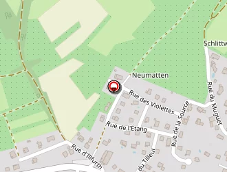 Carte de Mairie à Luemschwiller