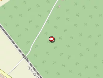 Carte de Lafeuille Claudine à Briare